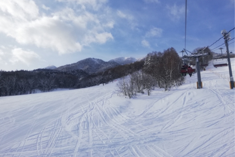 富良野スキー場